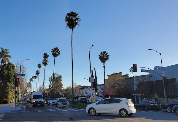 The palm tree-lined median of Highland Avenue.